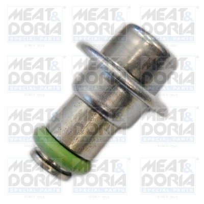 Fuel Pressure Regulator